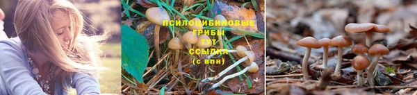 apvp Волосово