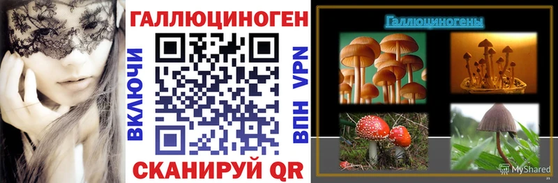 shop формула  Тюмень  Галлюциногенные грибы GOLDEN TEACHER 